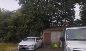 Débroussaillage et élagage d'un noisetier Rezé
